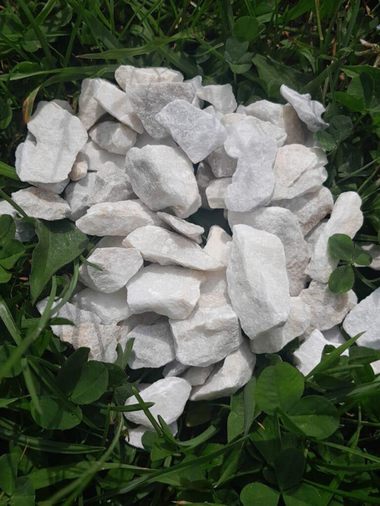 12 1.jpg